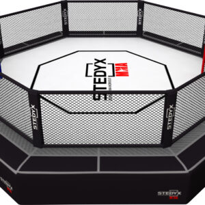 MMA- octagon UFC Rules Stedyx